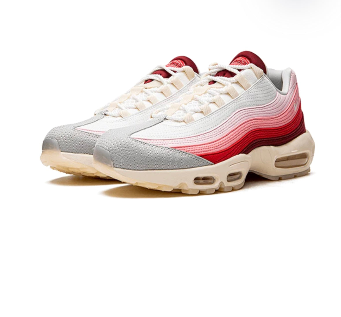 Nike Air Max 95 Anatomy of Air