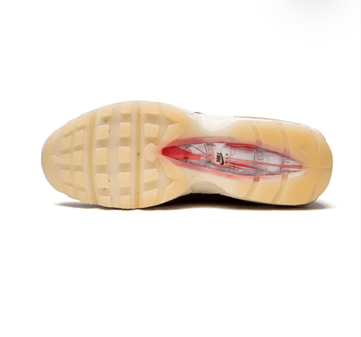 Nike Air Max 95 Anatomy of Air
