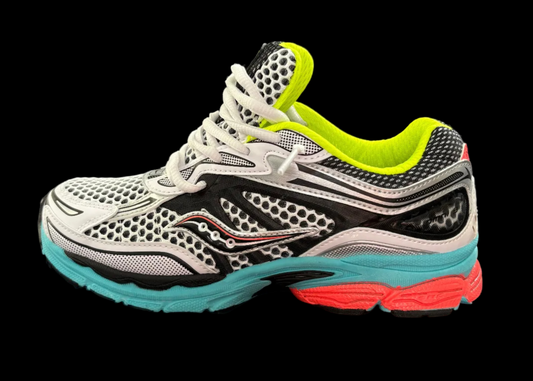 Saucony Progrid Omni 9 multicolor Custom